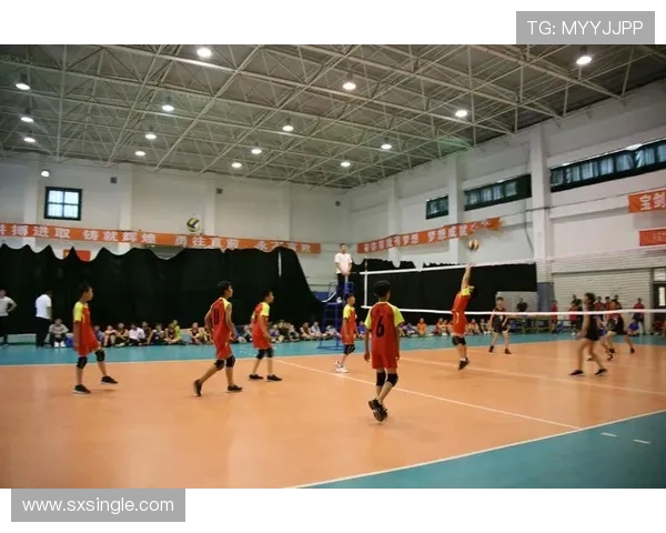 刘强回顾排球生涯与成长历程的深度专访分享