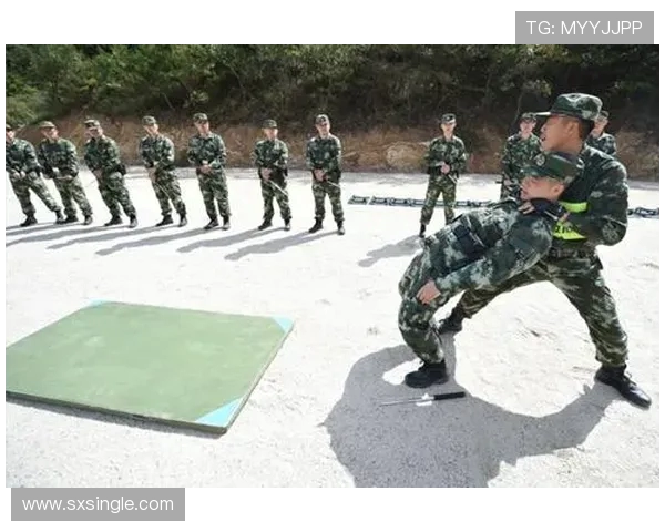 武汉攀岩队区域防守战术解析与实战应用探讨